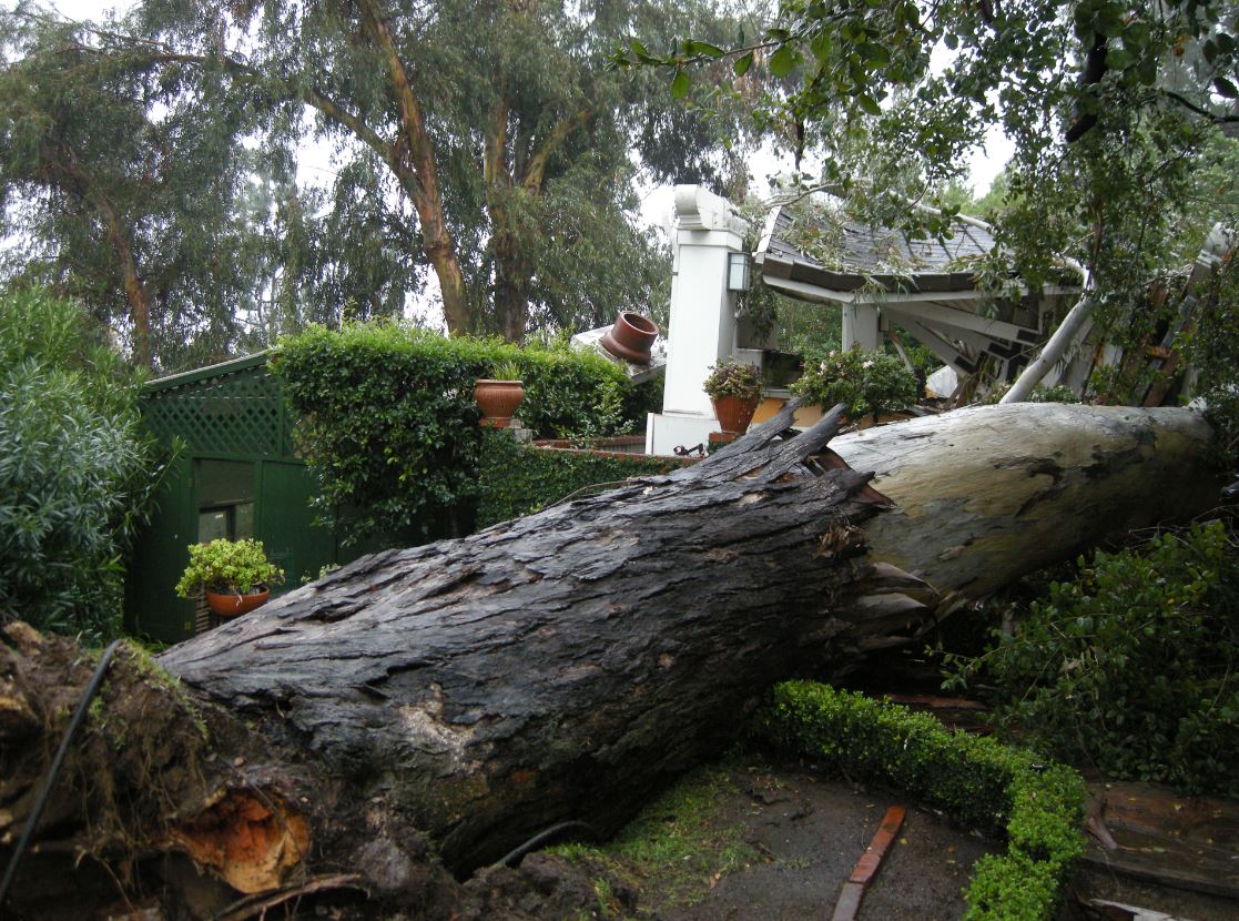 Storm Damage